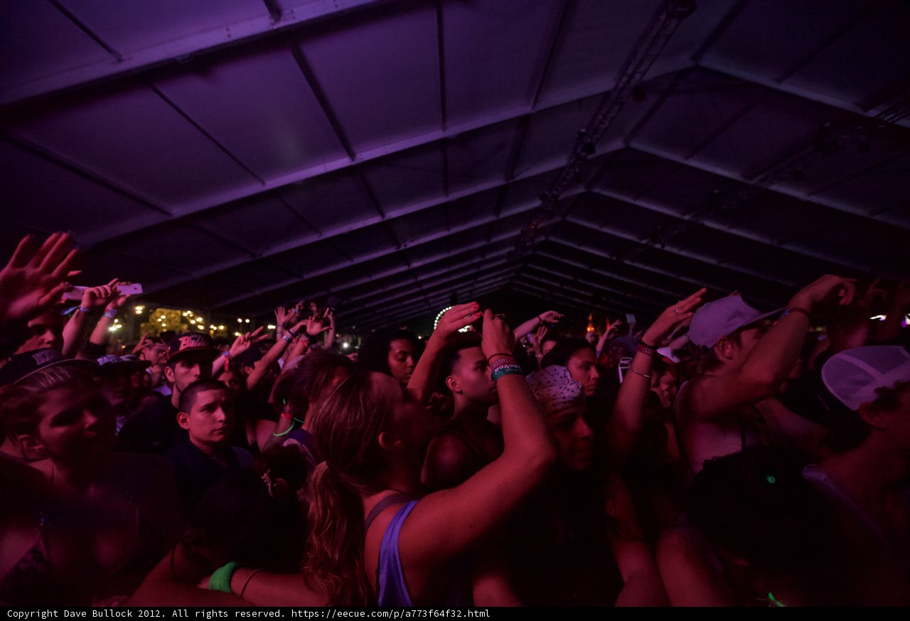 Coachella Crowd's Hands in the Air