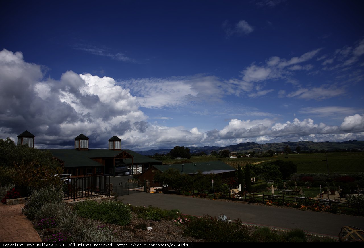 A Breathtaking View of Bouchaine Vineyards & Winery