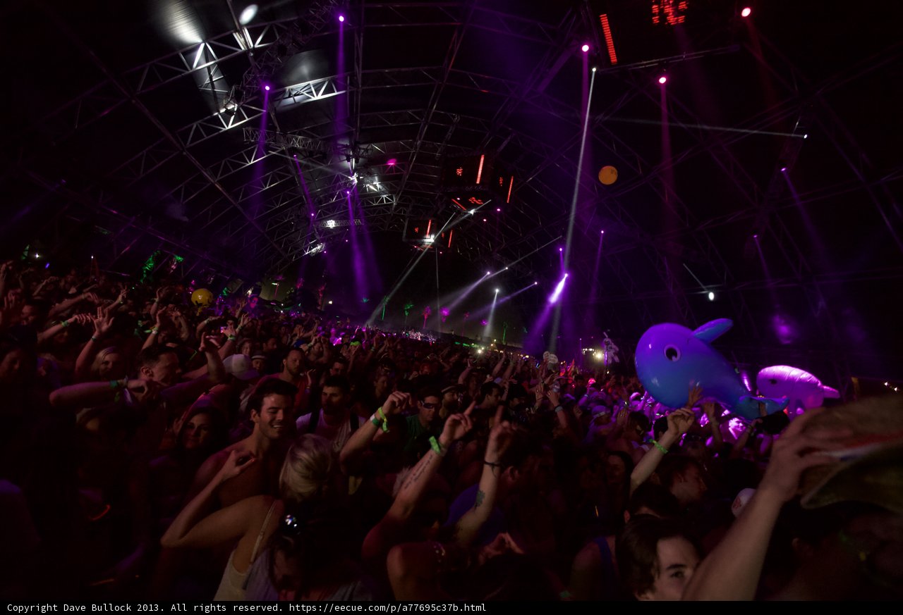 Purple Haze at Coachella