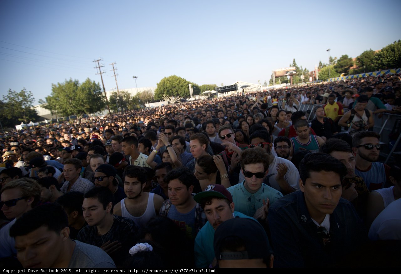FYF Crowd Sea