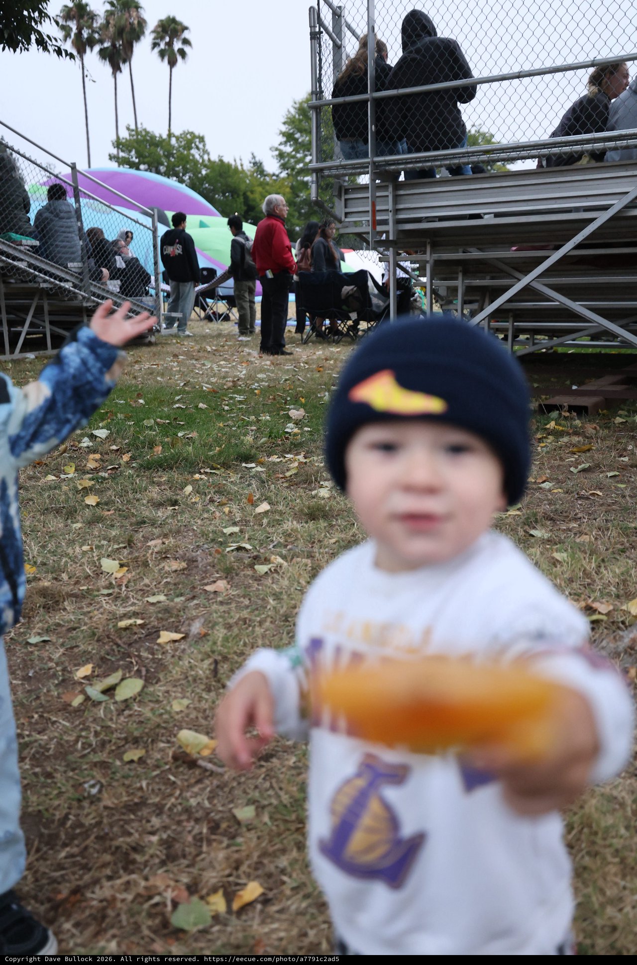 Toddler Offers Snack at Hot Air Balloon Festival