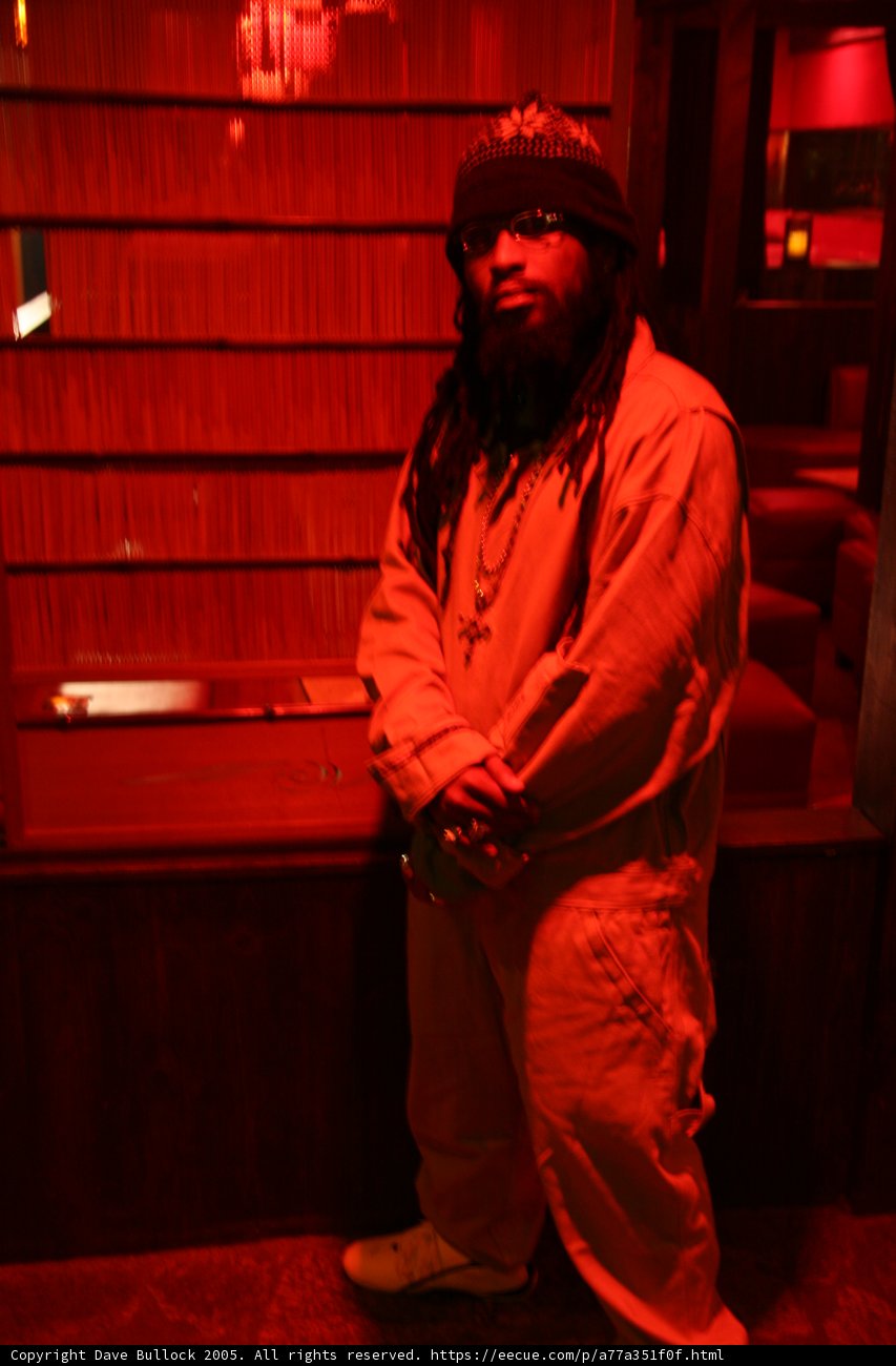 Dreadlocked Style