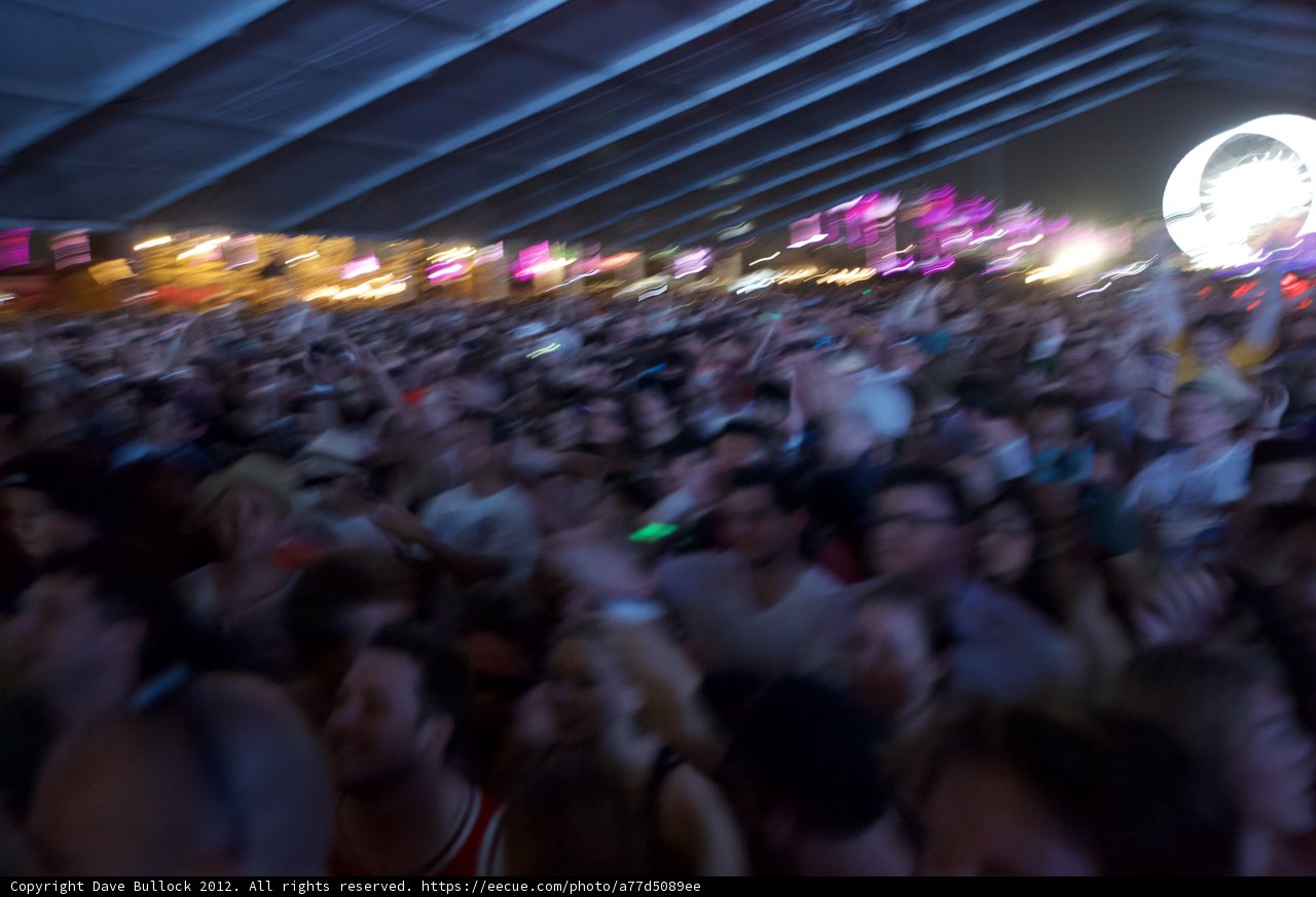 A Sea of Concert-Goers