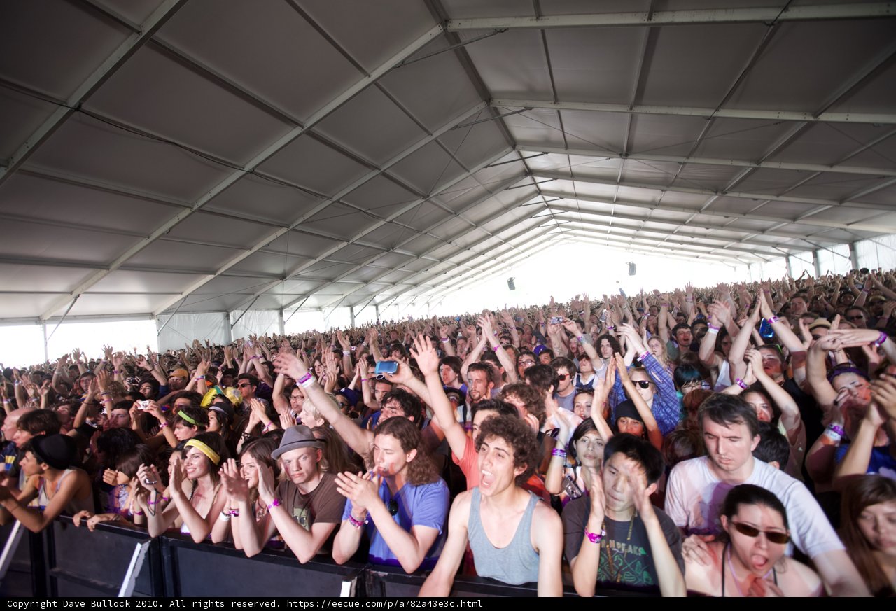 The Wild Crowd at Coachella
