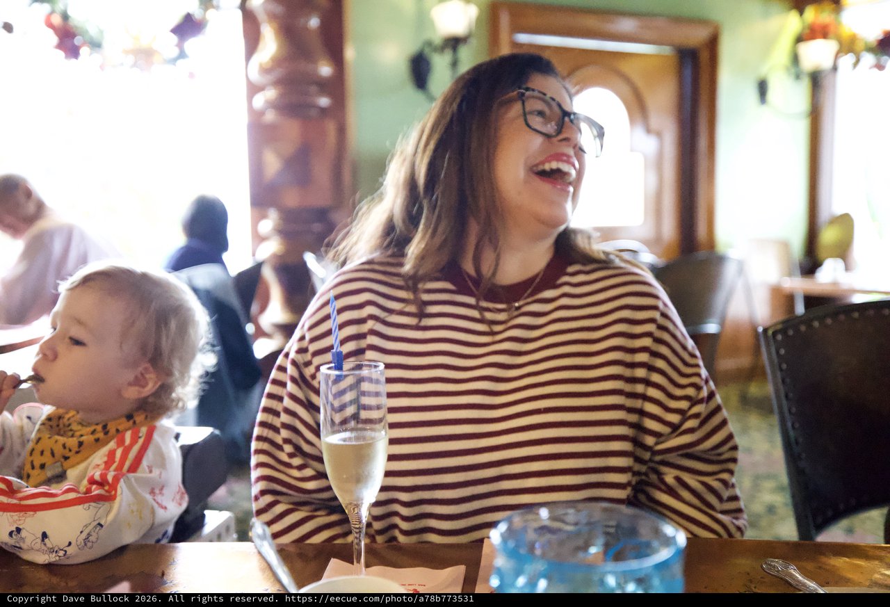 Joyful Celebration at Restaurant with Family