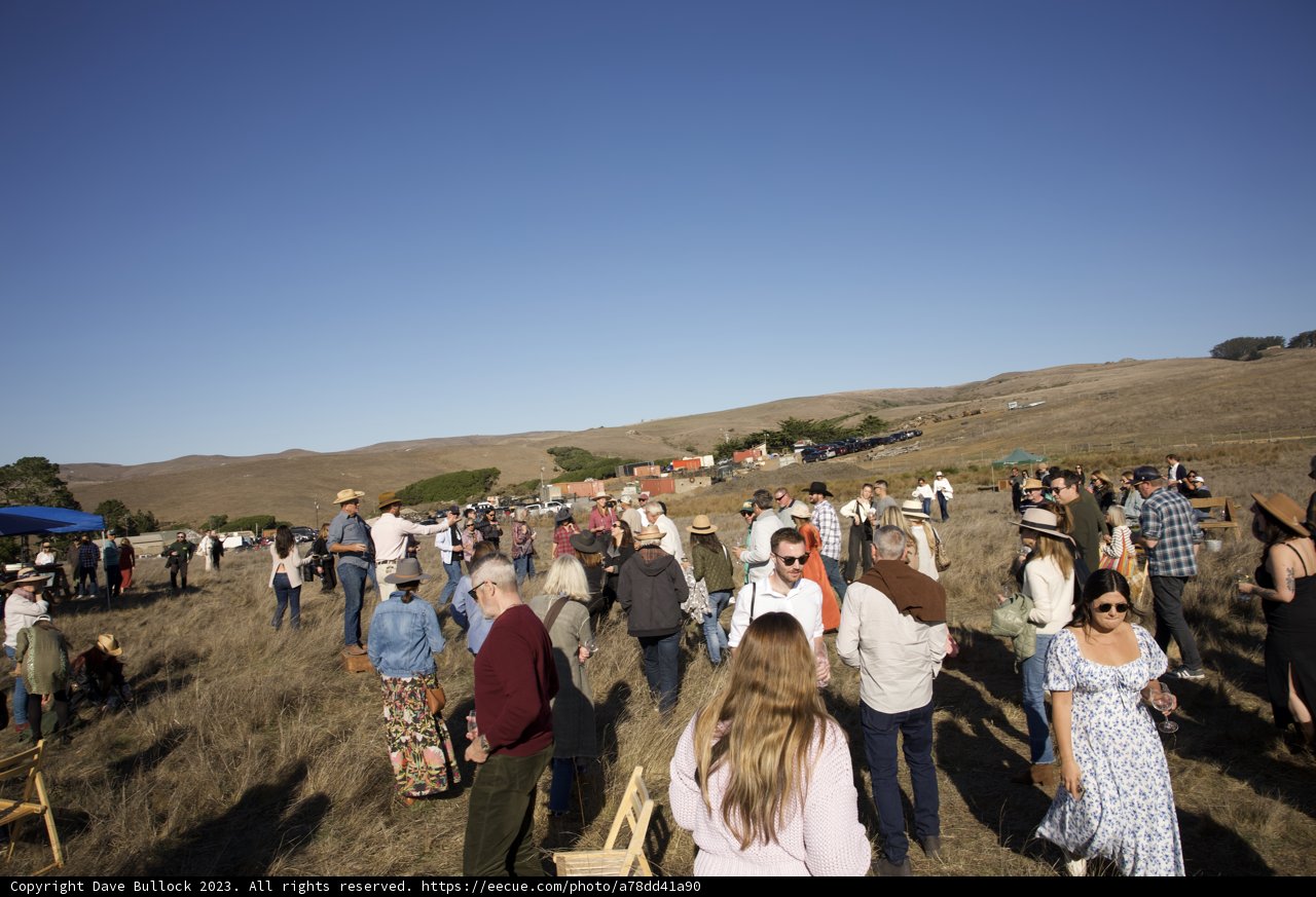 Community Gathering in Nature: Hog Island Oyster Co.