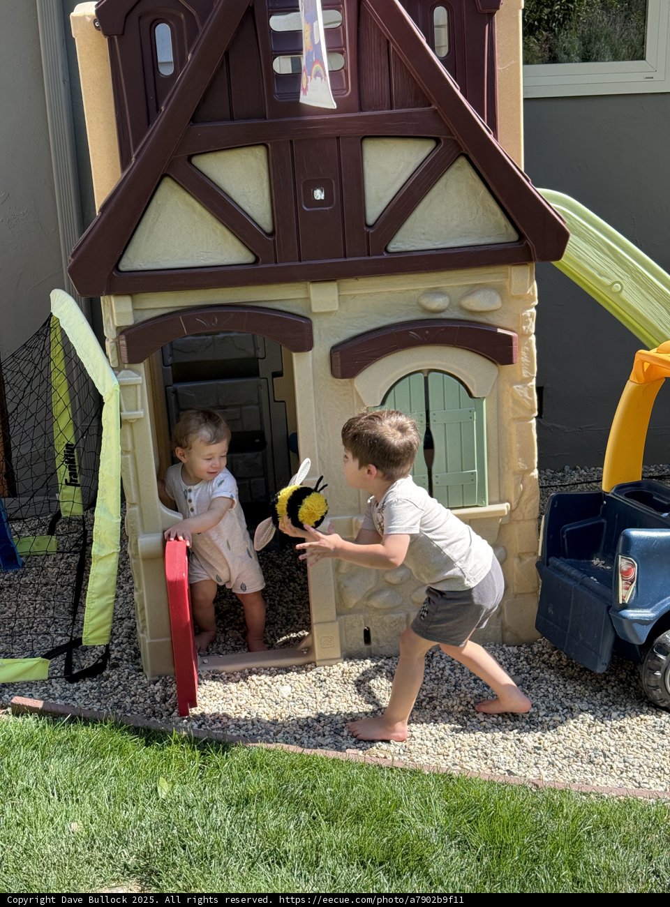 Backyard Adventures