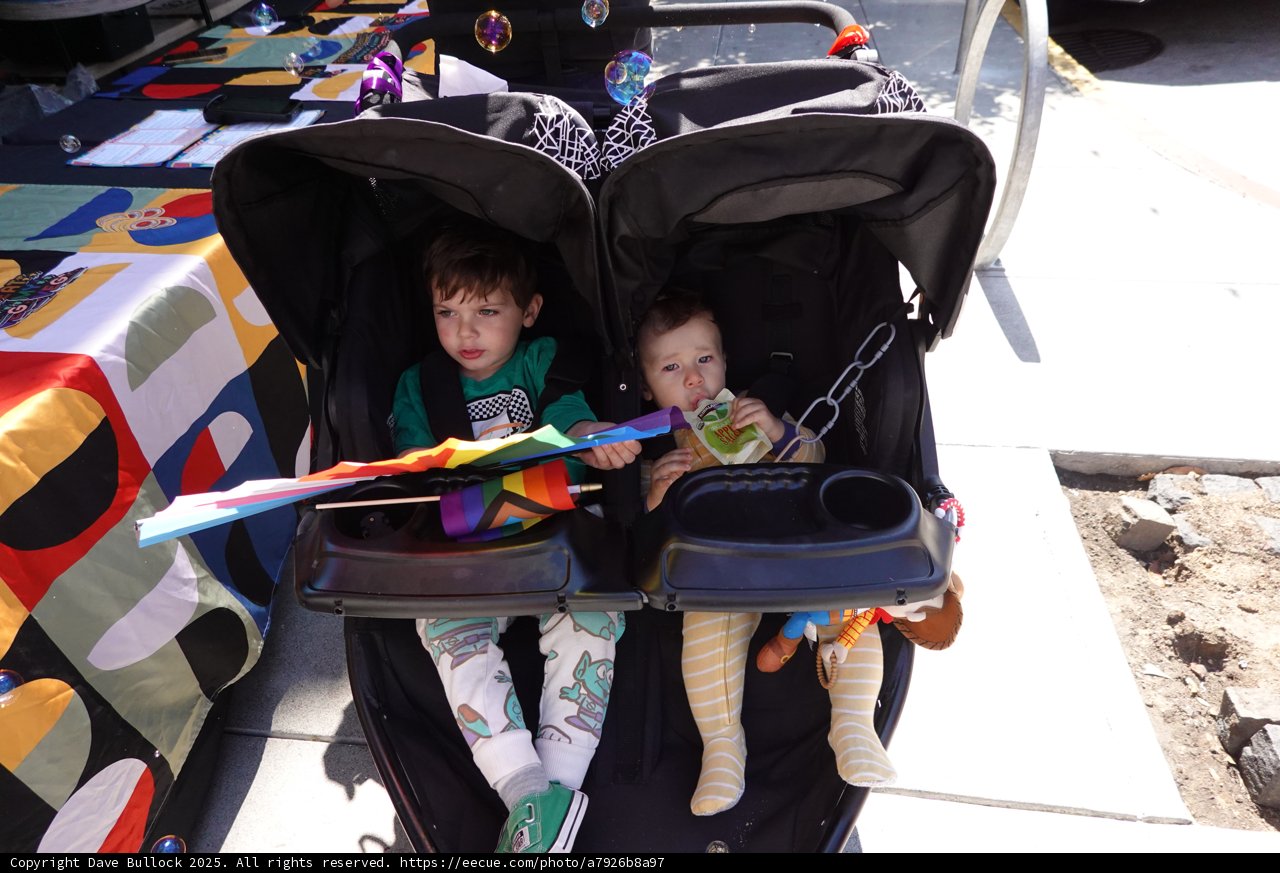 Double Stroller Adventures