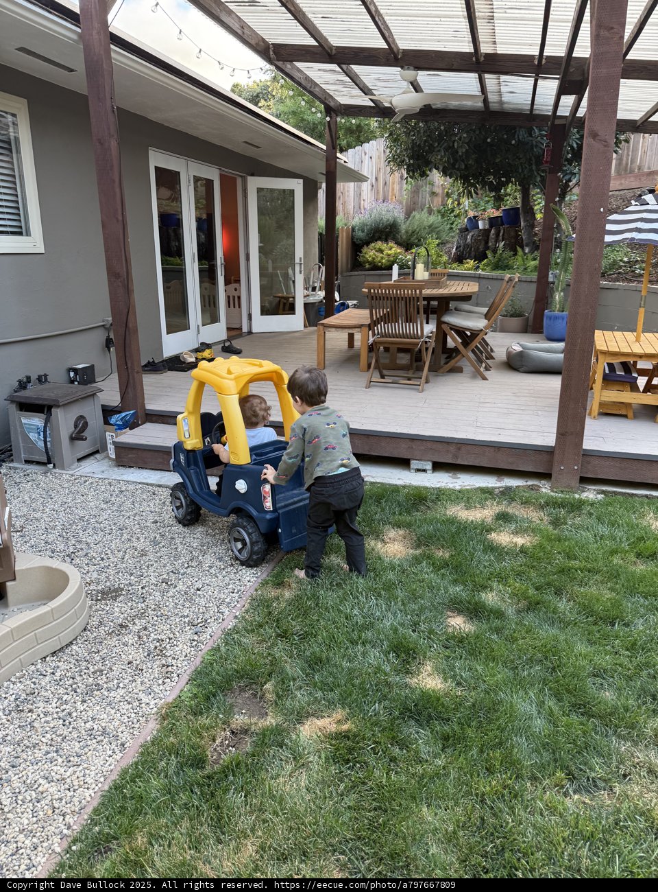 Afternoon Play in the Backyard