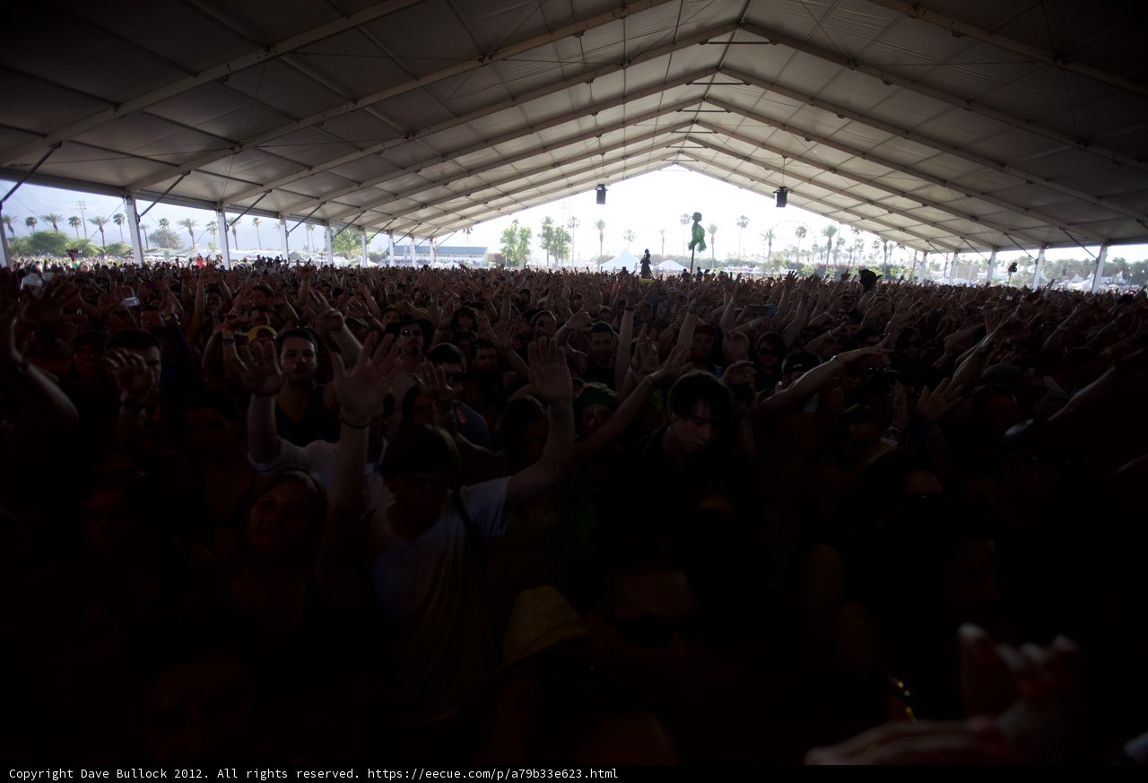 Electric Crowd at Coachella