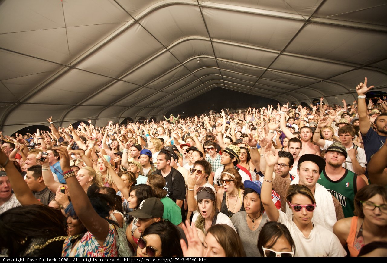 Electric Crowd at Coachella