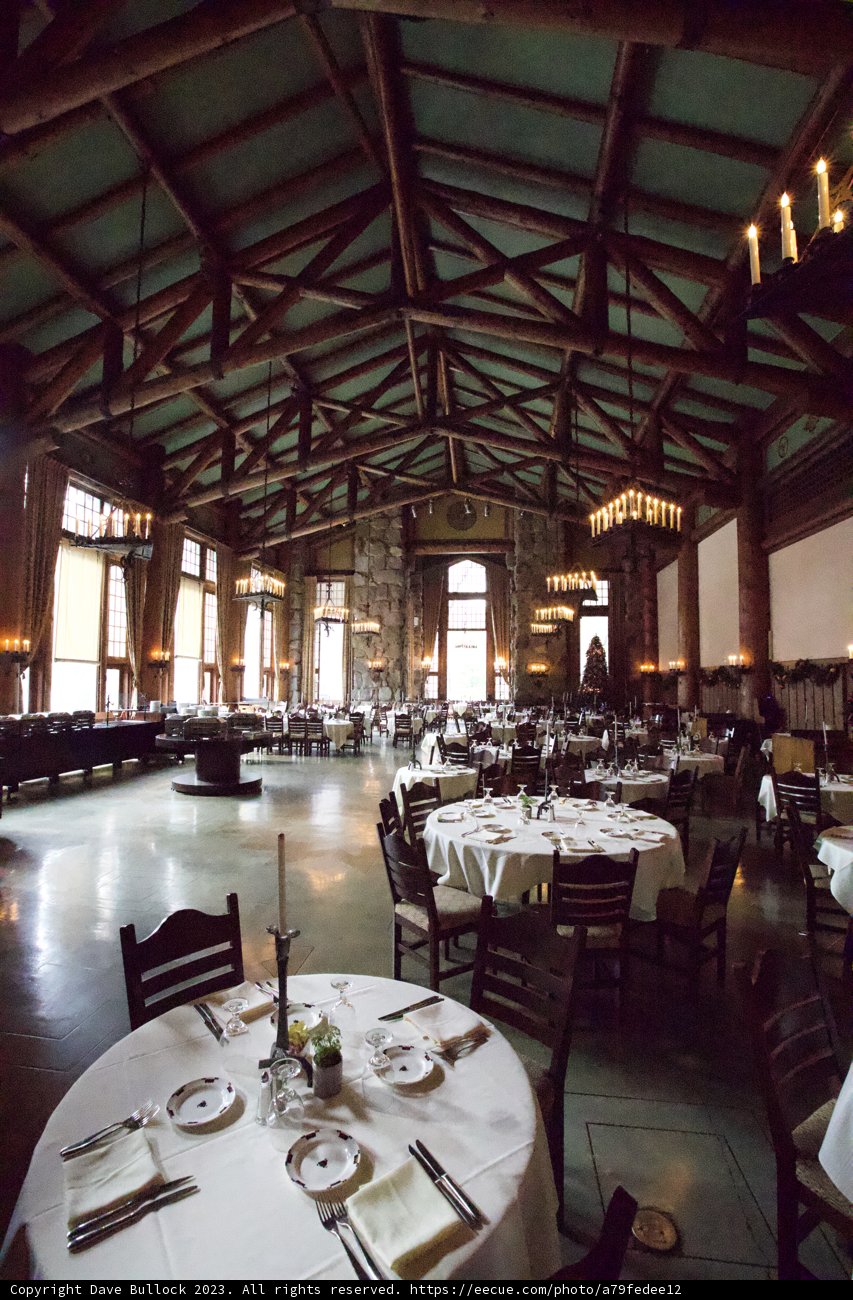 Awaiting the Celebration: Yosemite Wedding Setup