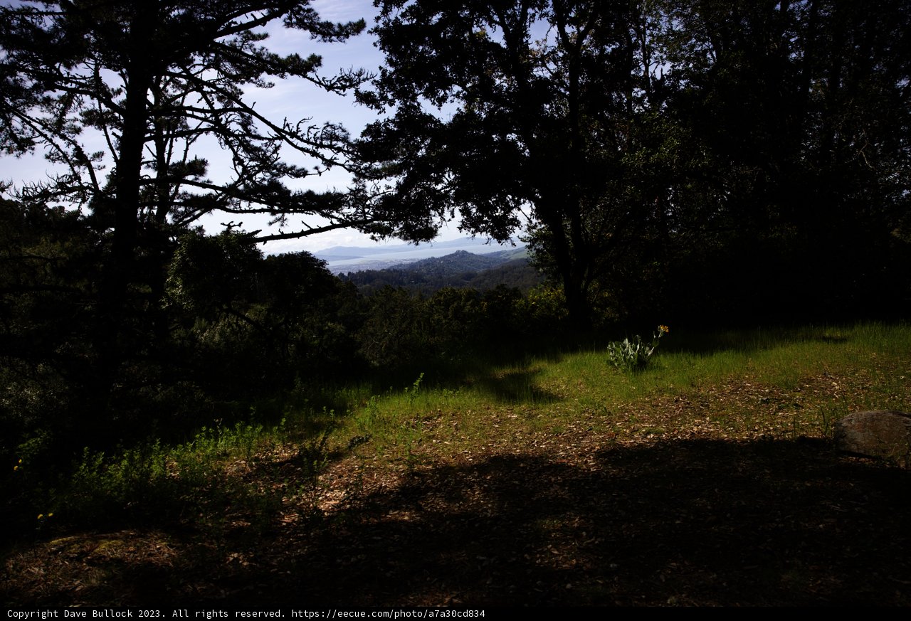 Serenity in Tilden Regional Park
