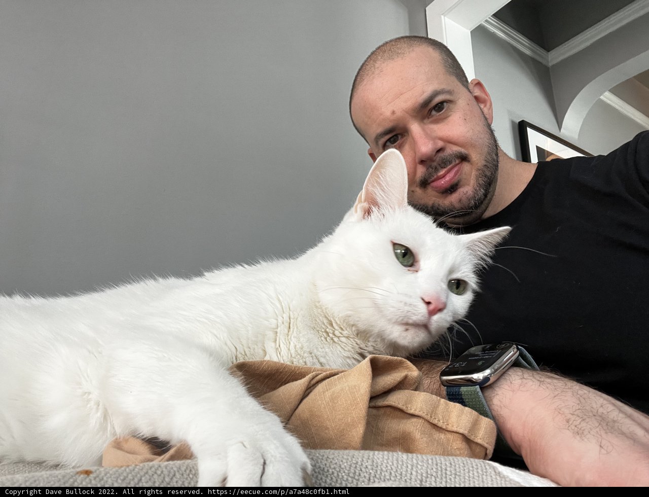 Man and His Feline Companion