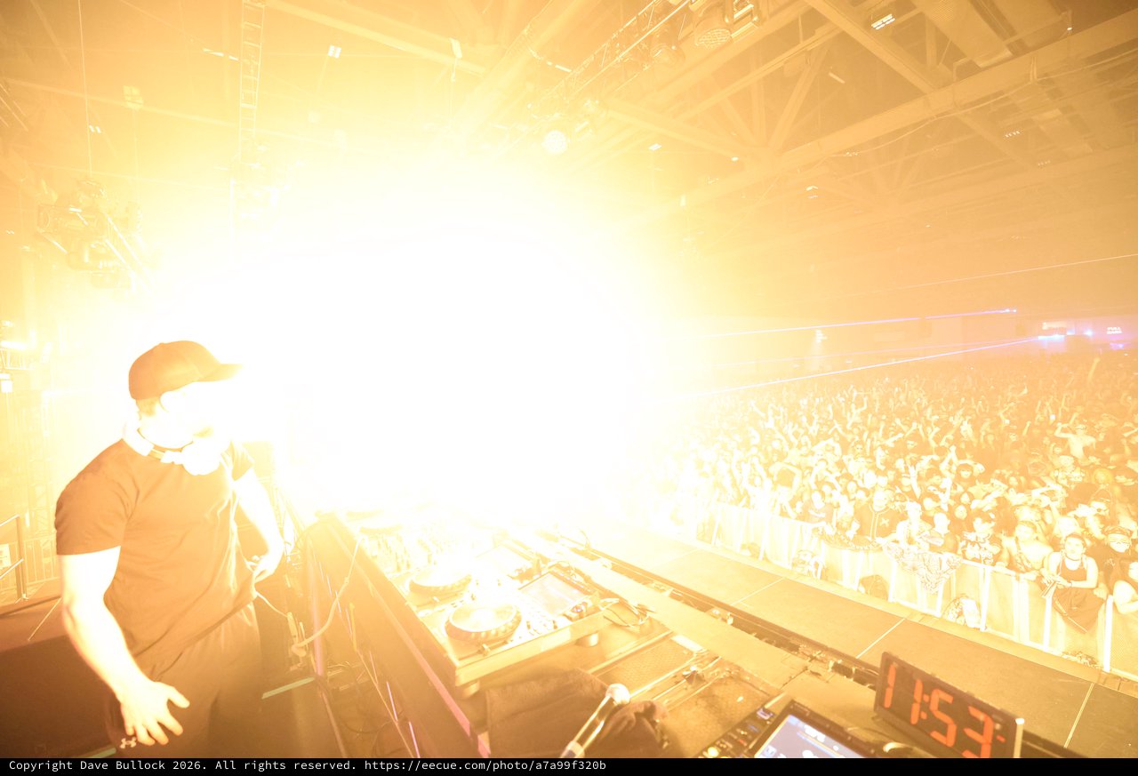 DJ Ignites Massive Crowd at Wobbleland 2026