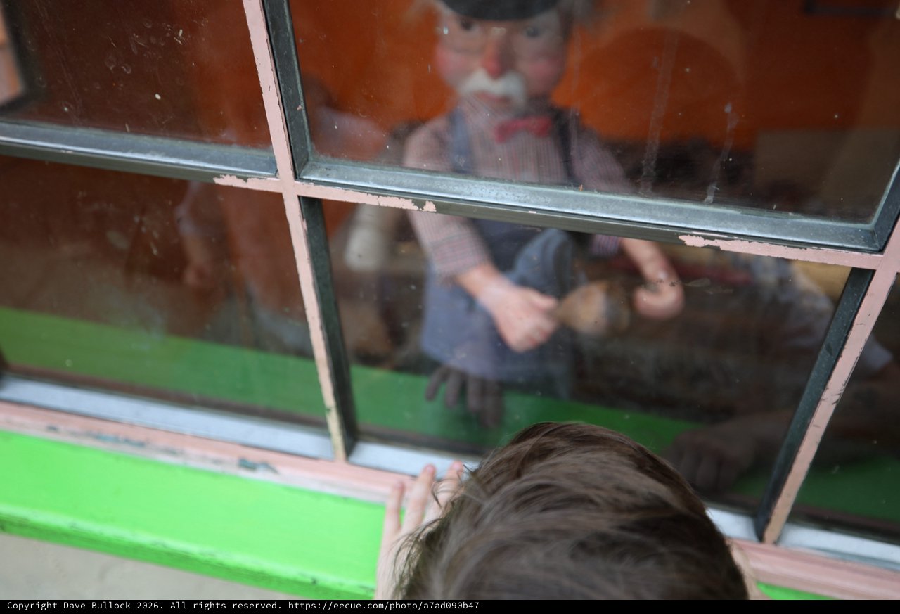 Child's Wonder Through Window at Fantasyland Display