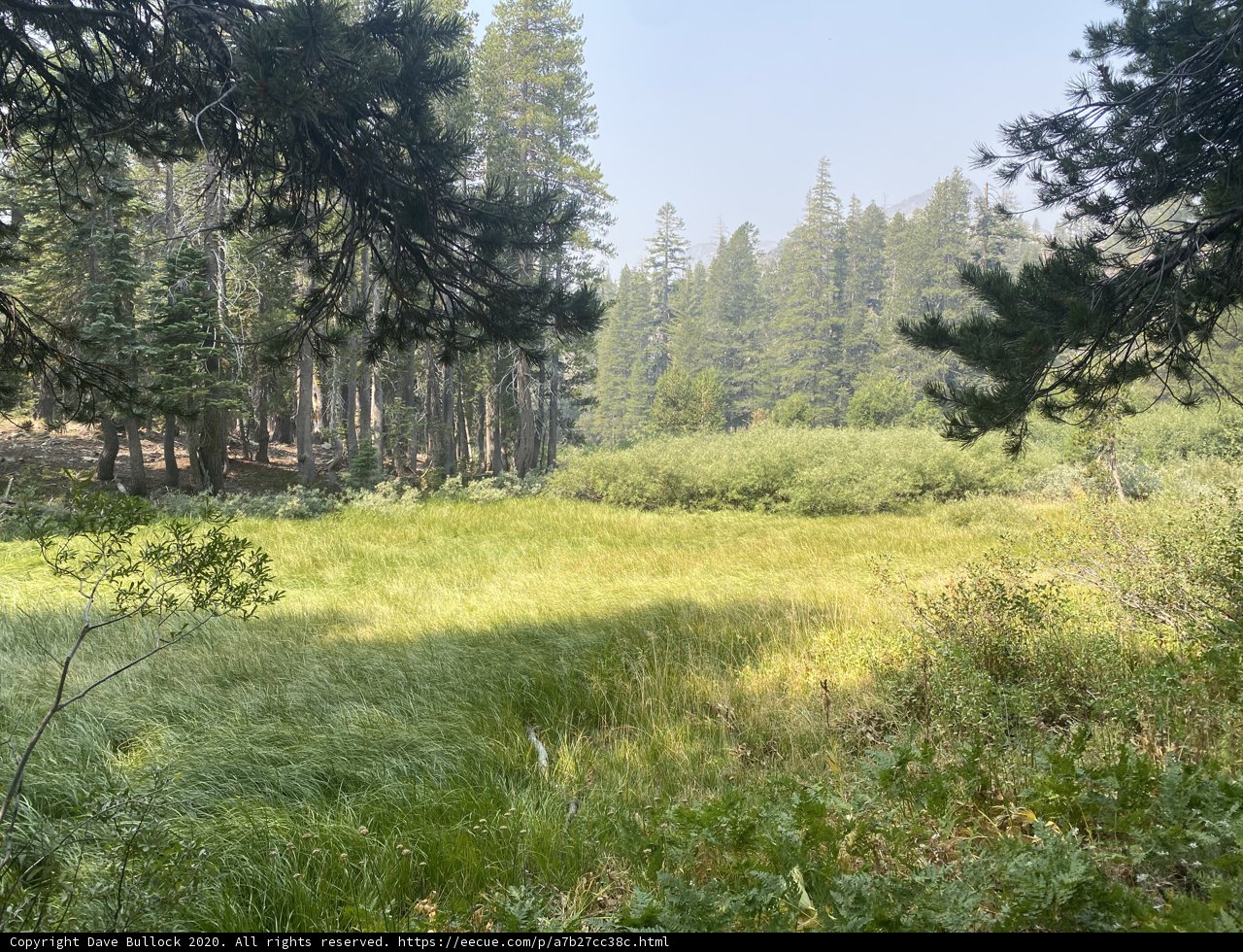 Serenity in the Desolation Wilderness
