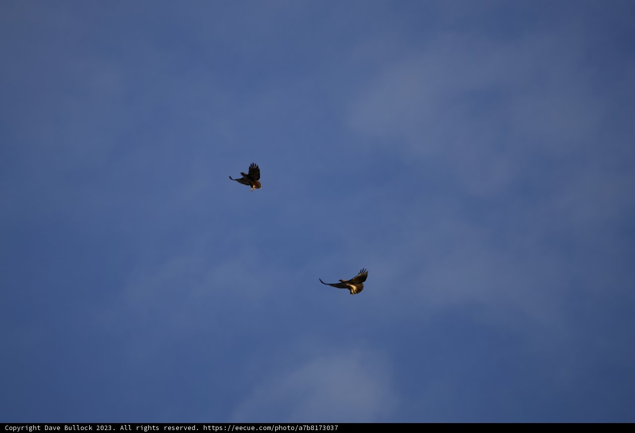 Duel of the Skies