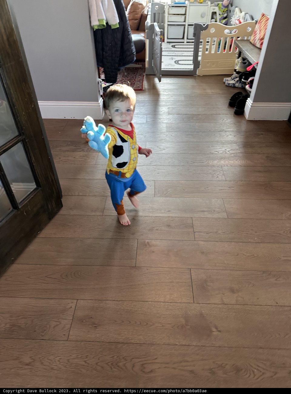 Wesley's Playful Stroll in Costume