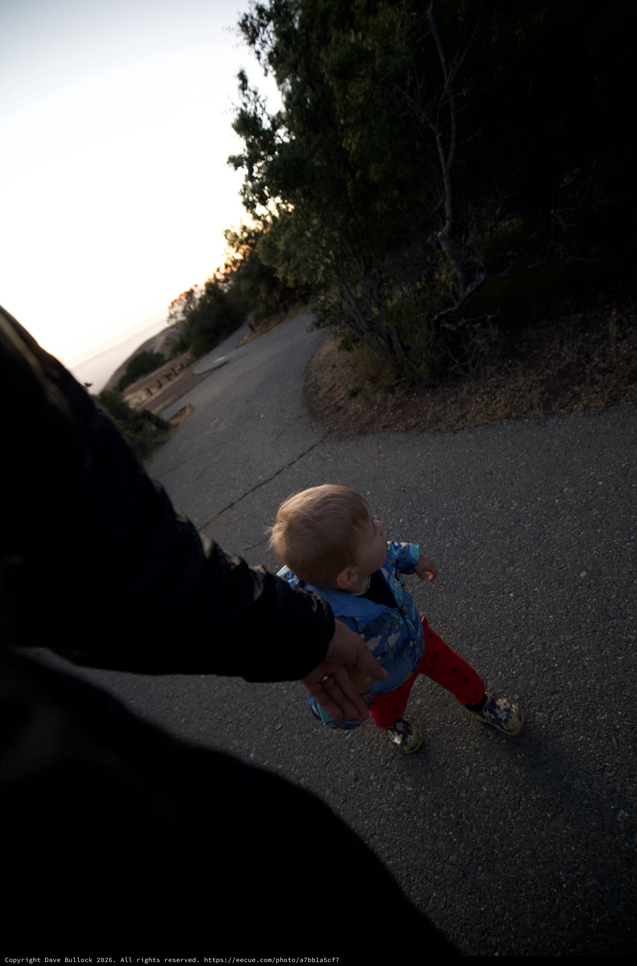 Toddler's First Steps on Mountain Trail at Dusk