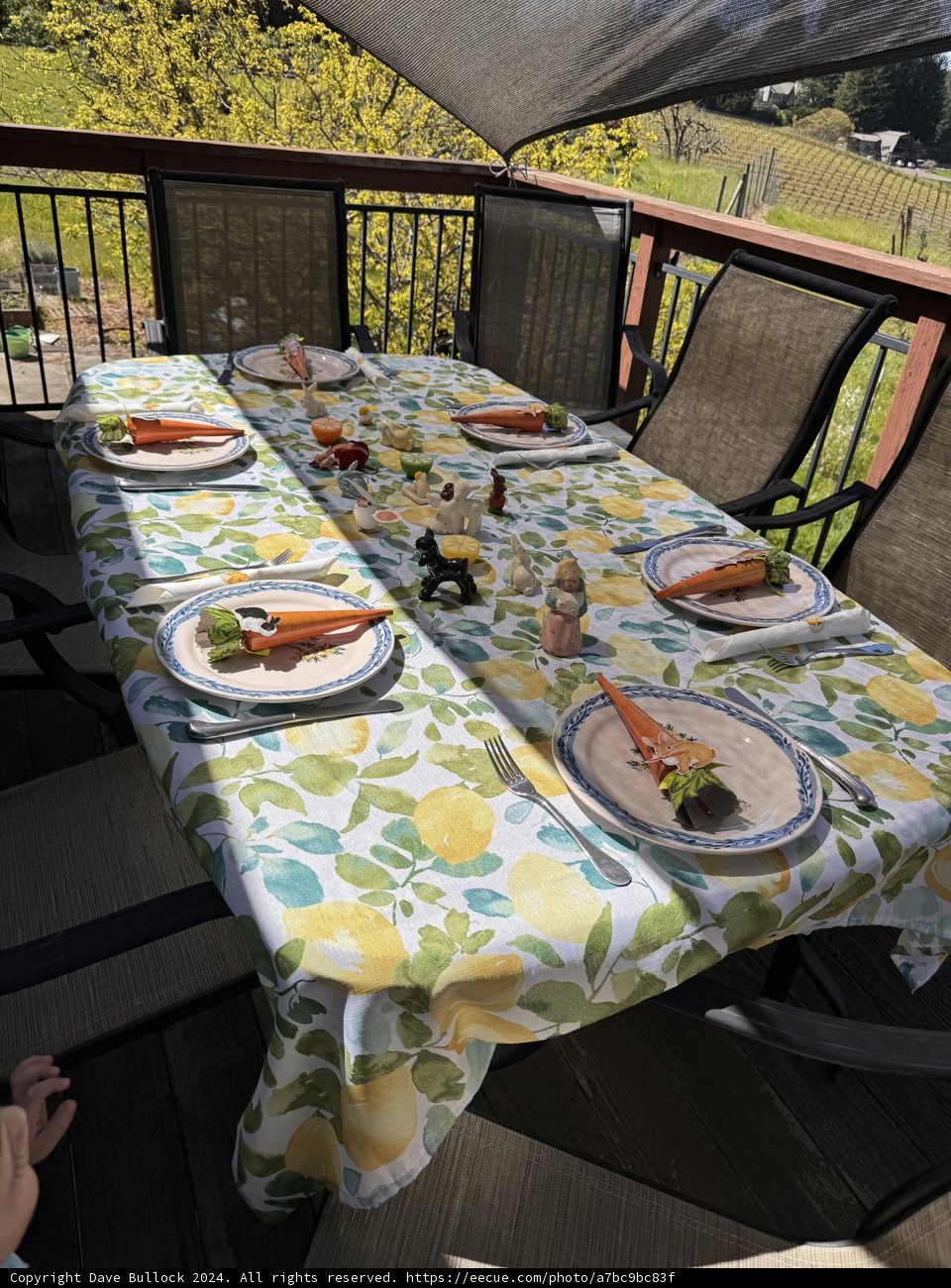 Brunch Alfresco in Sebastopol