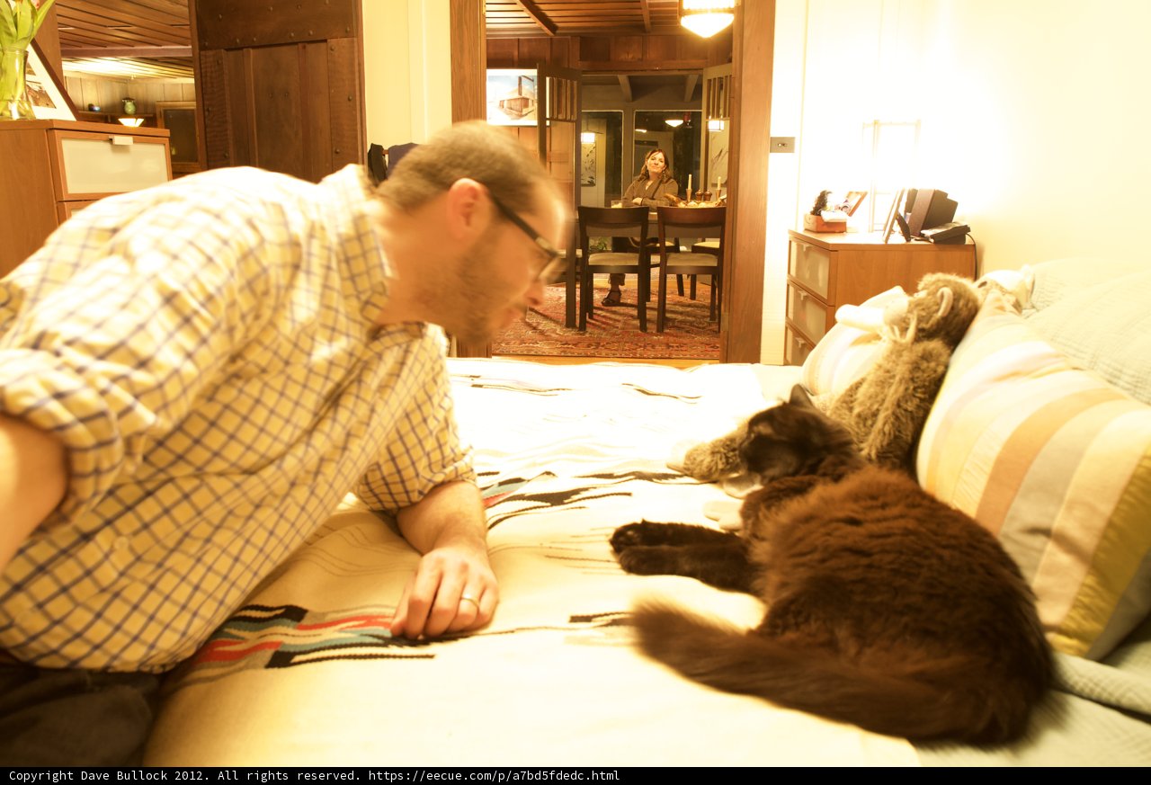 Man Relaxing in Cozy Living Room with Feline Friends