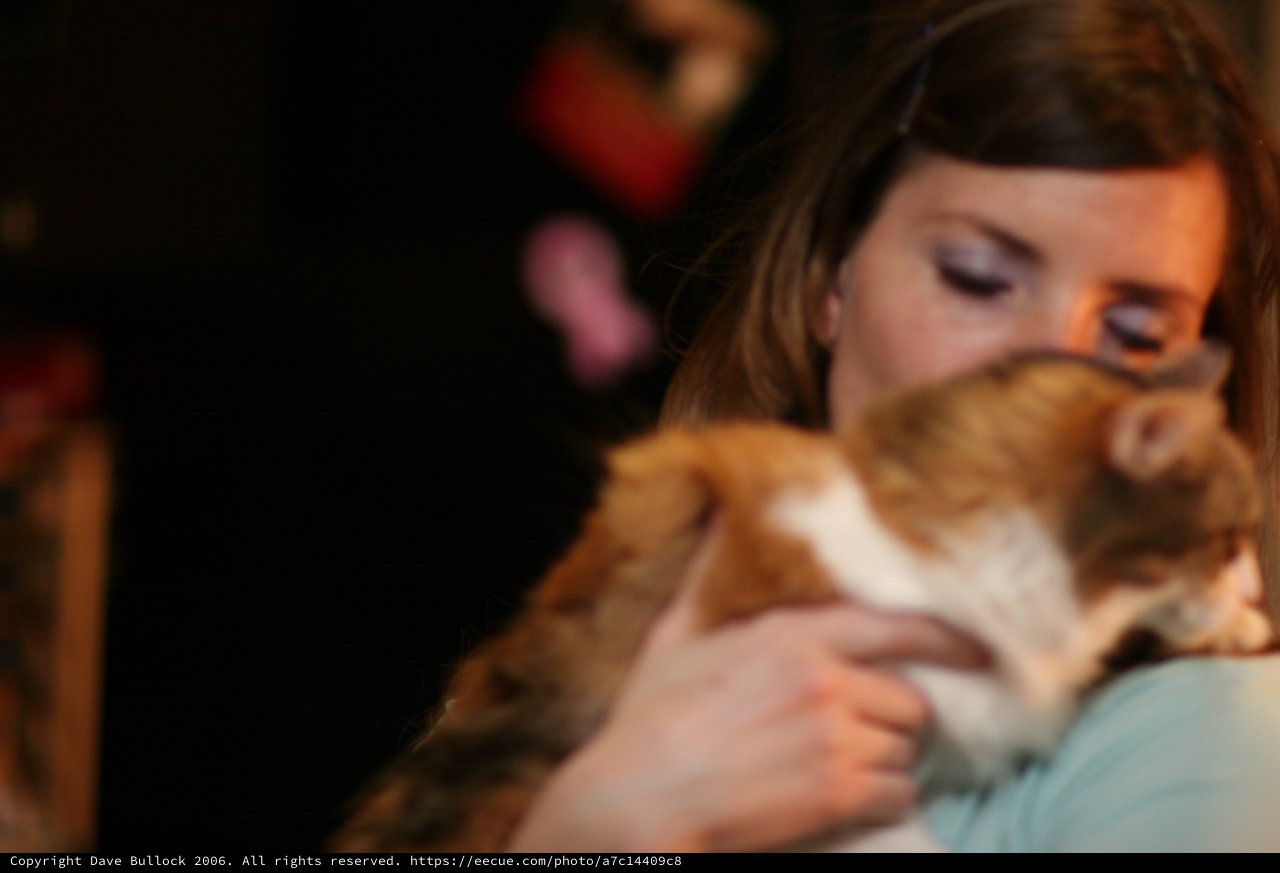 Tender Moment: Woman Nuzzles Orange Tabby Cat