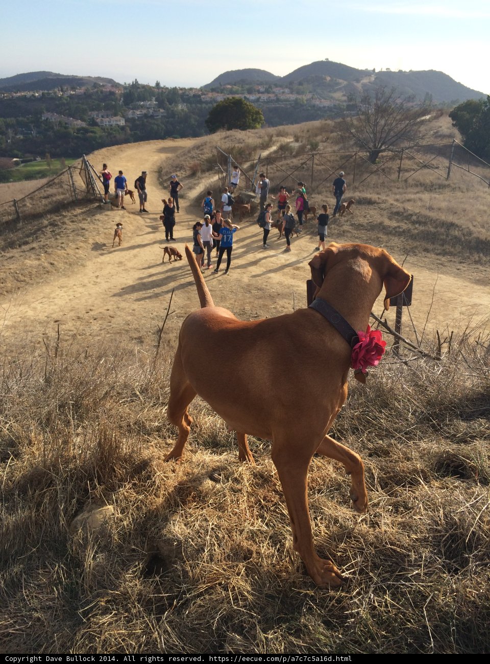Walking the Hillside
