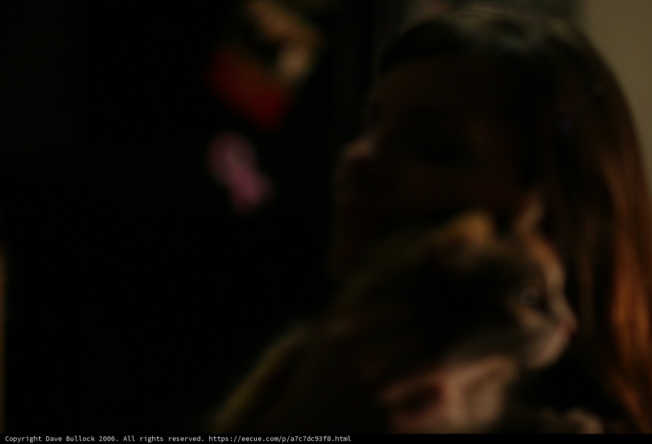 Feline Love in the Dark