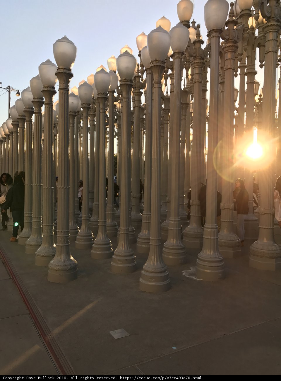 City Lights