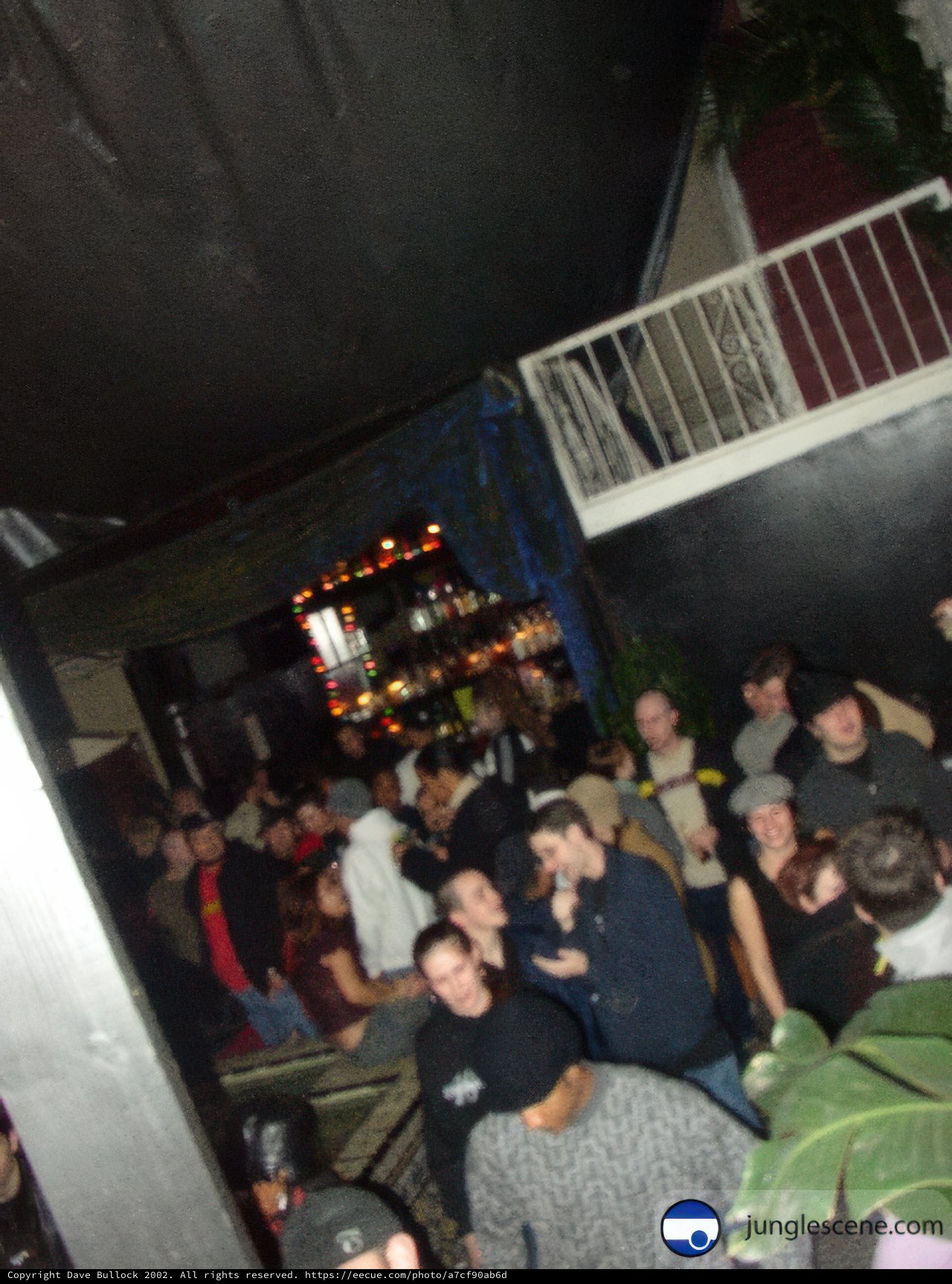 Nightclub Crowd
