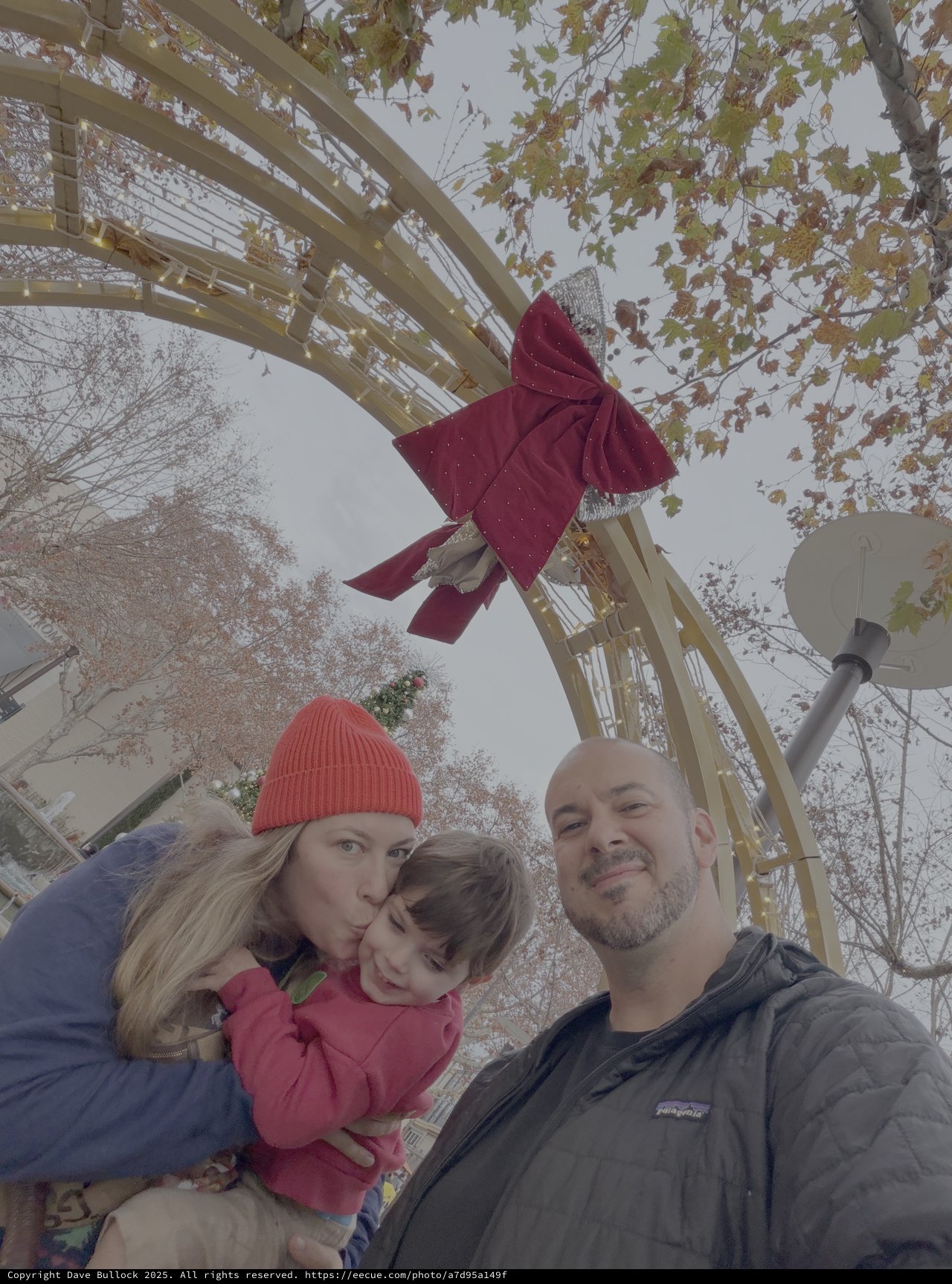 Family Holiday Selfie at Festive Winter Bridge