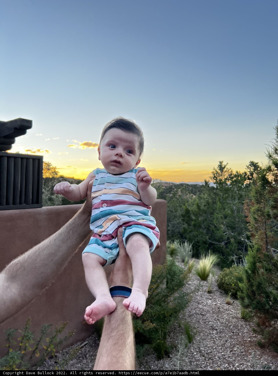 Sunset Daddy Moments