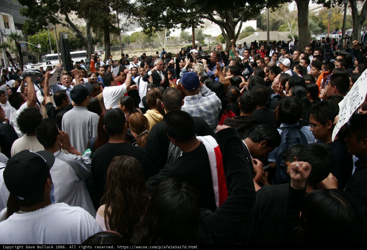 Mass Gathering in the Park