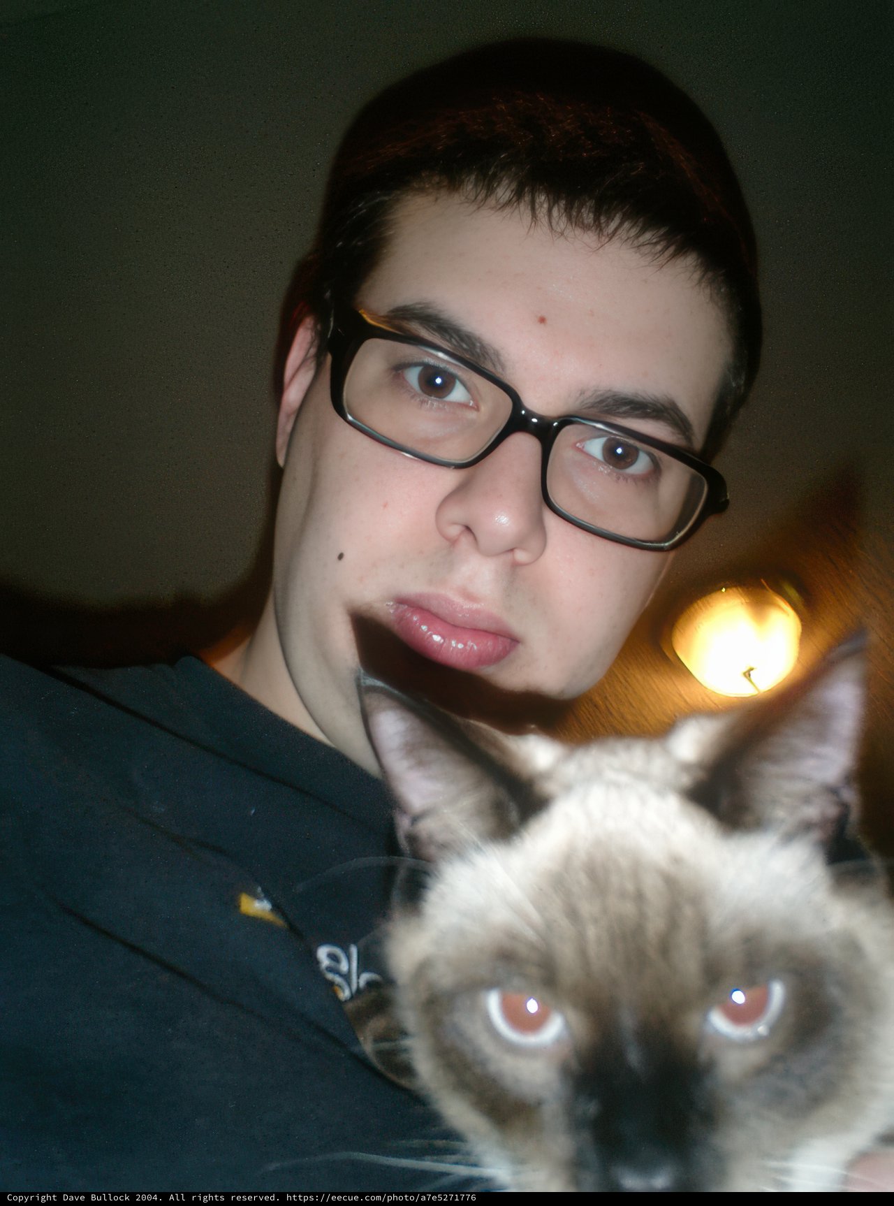 Dave B and His Feline Companion