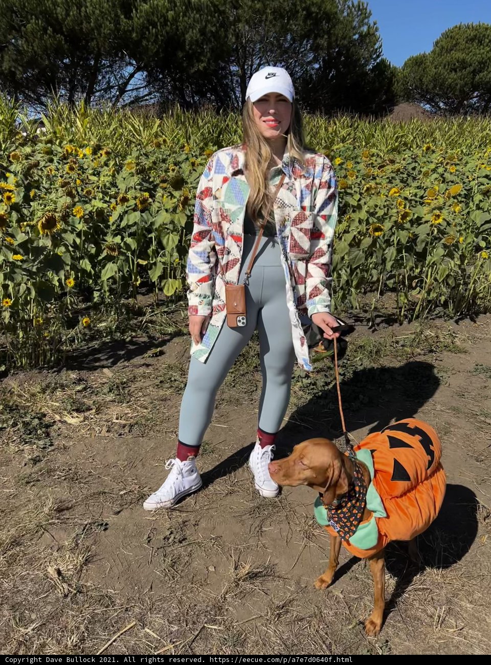 Pumpkin and Pup