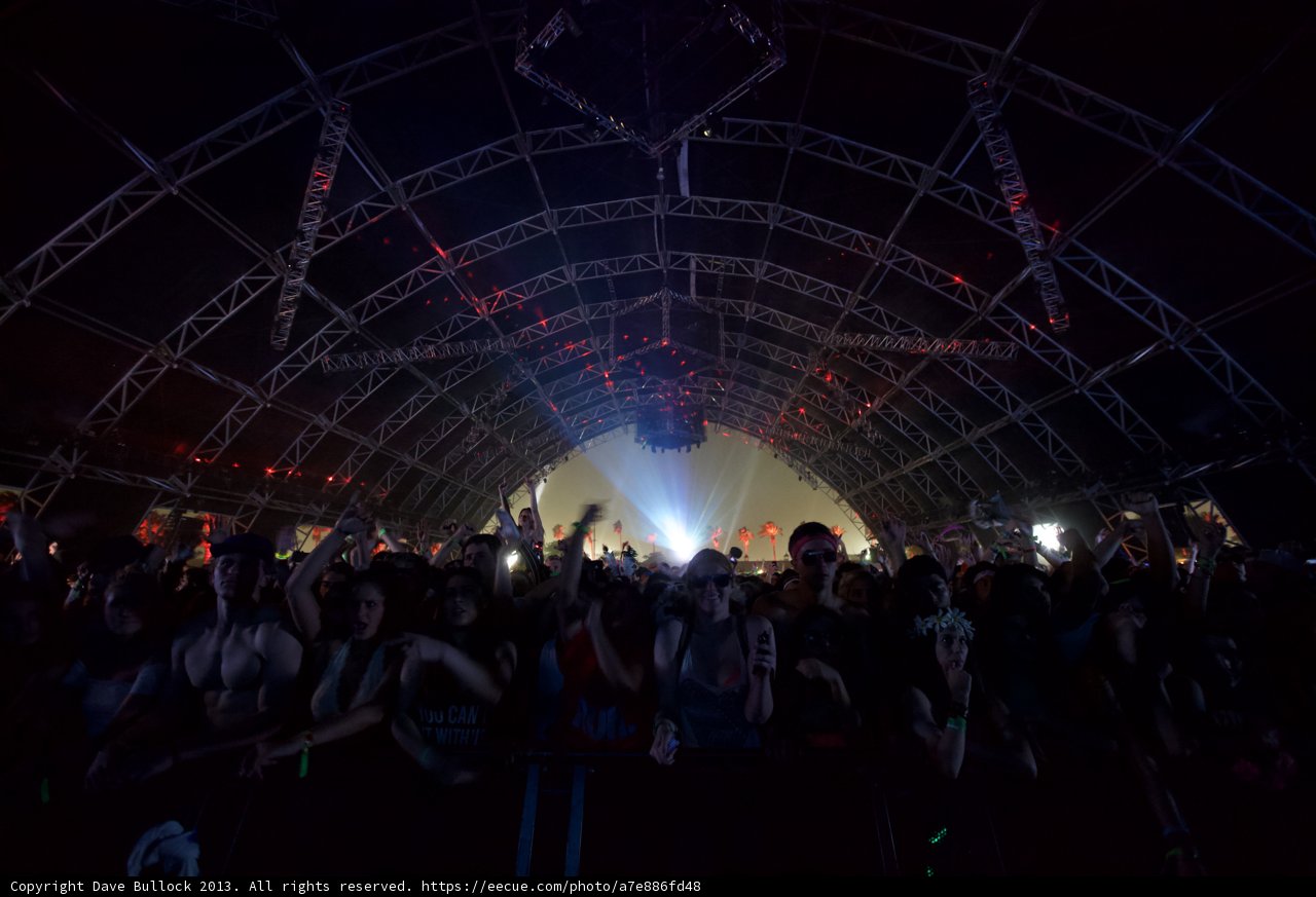 Coachella Crowd Goes Wild