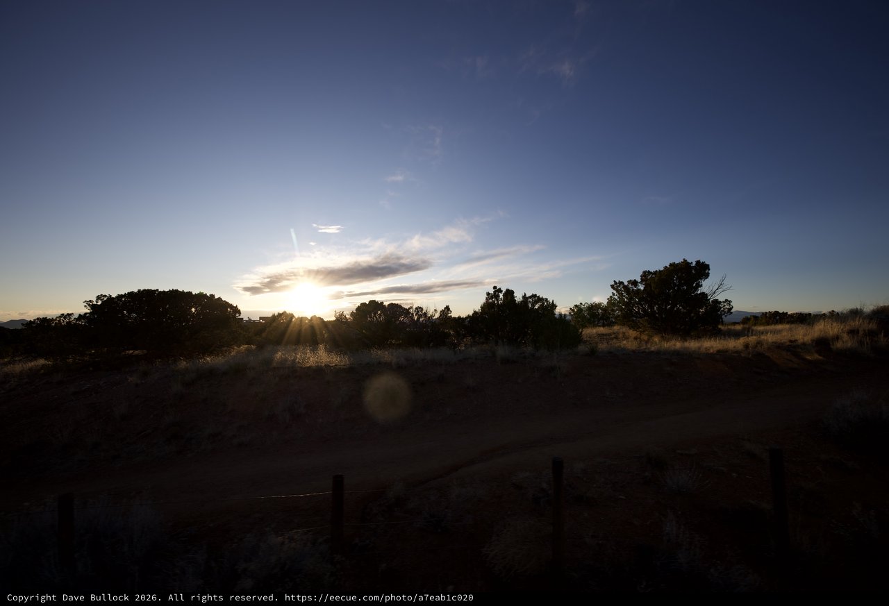 Desert Sunset Through Silhouetted Trees and Golden Grass