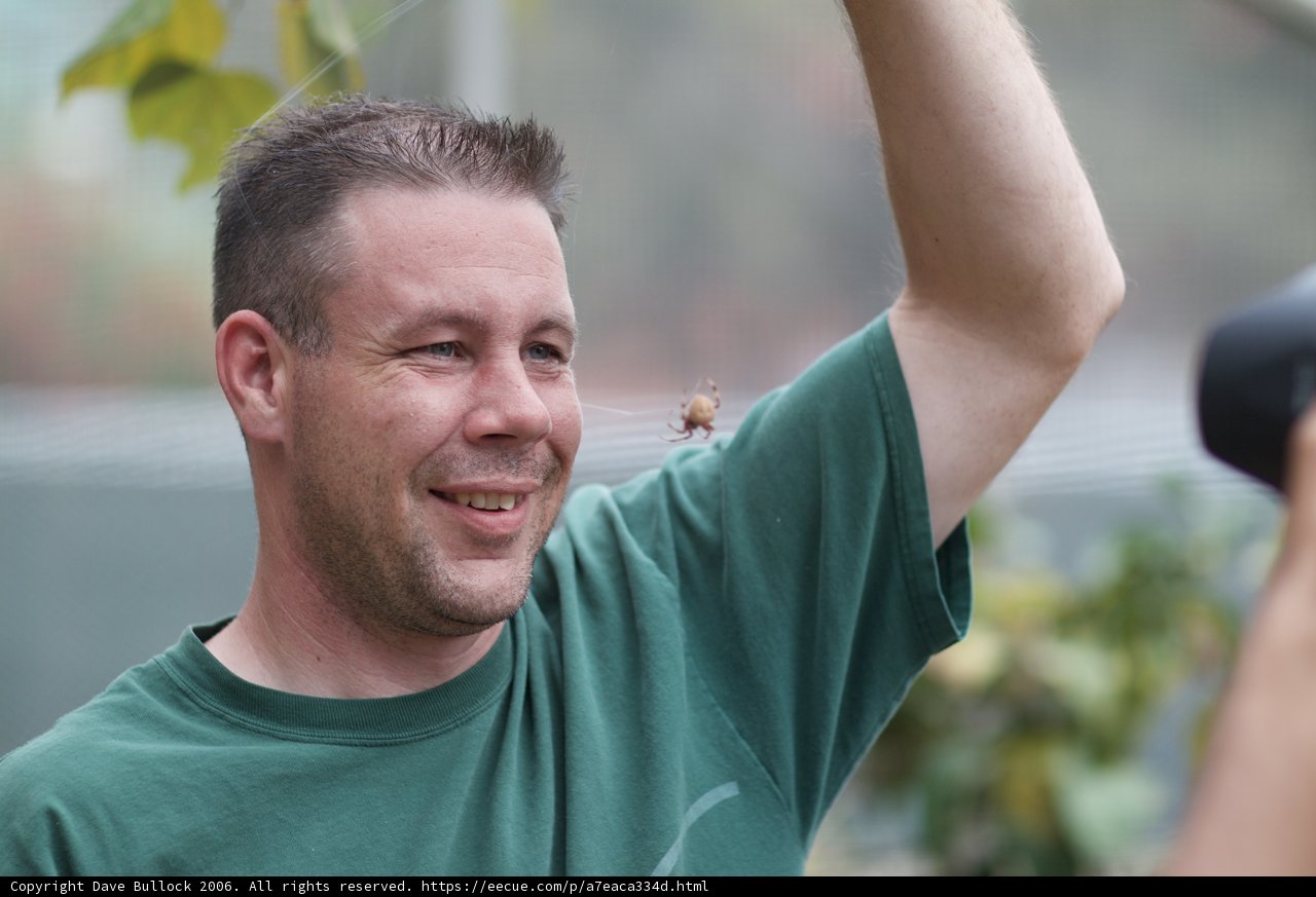 Spider-Friendly Smile
