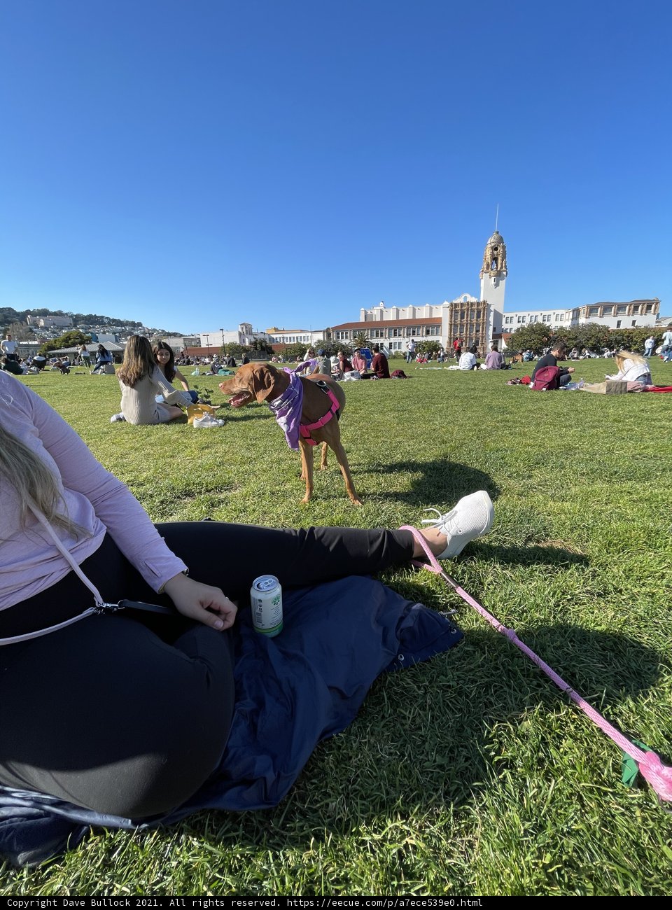 Park Day with my Furry Friend