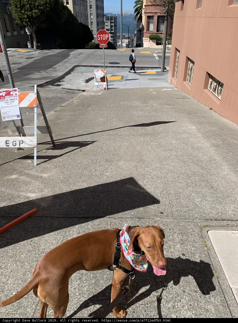 Urban Walkies