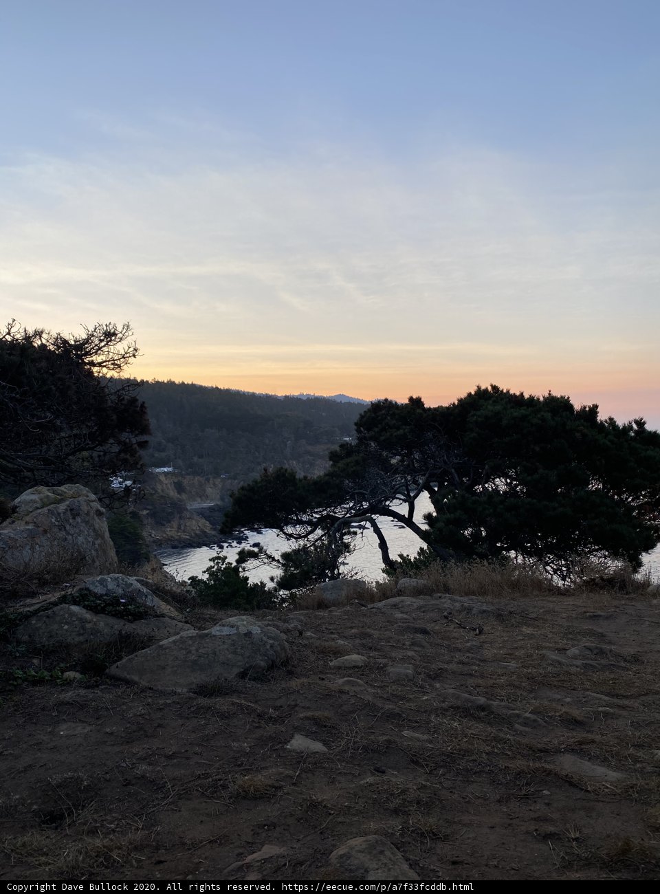 Lone Tree at Dusk