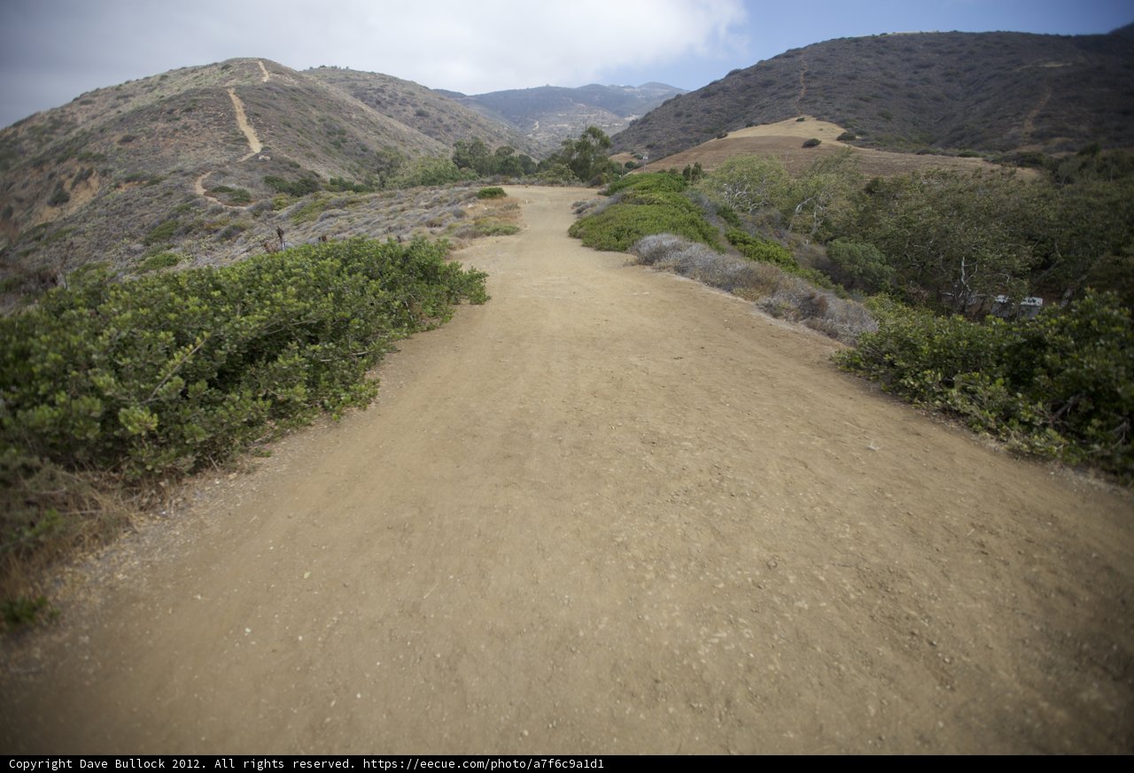 Gravel Road in Rural Wilderness