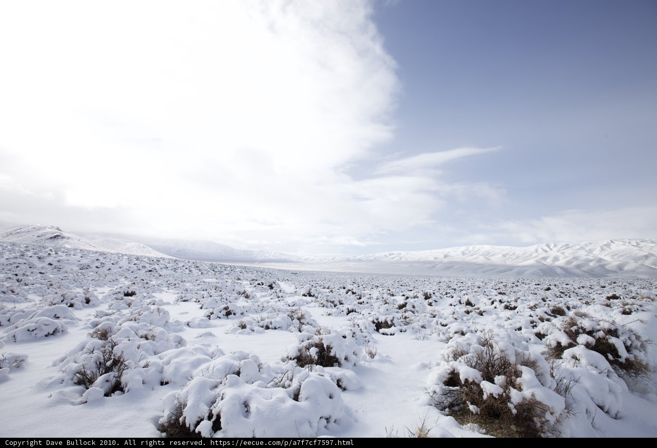 Majestic Tundra Mountain