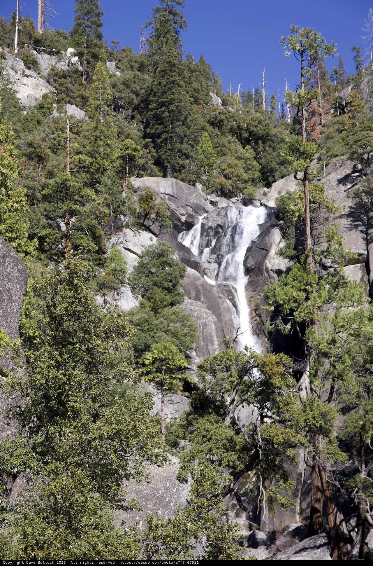 Cascade Falls Through Sierra Nevada Forest