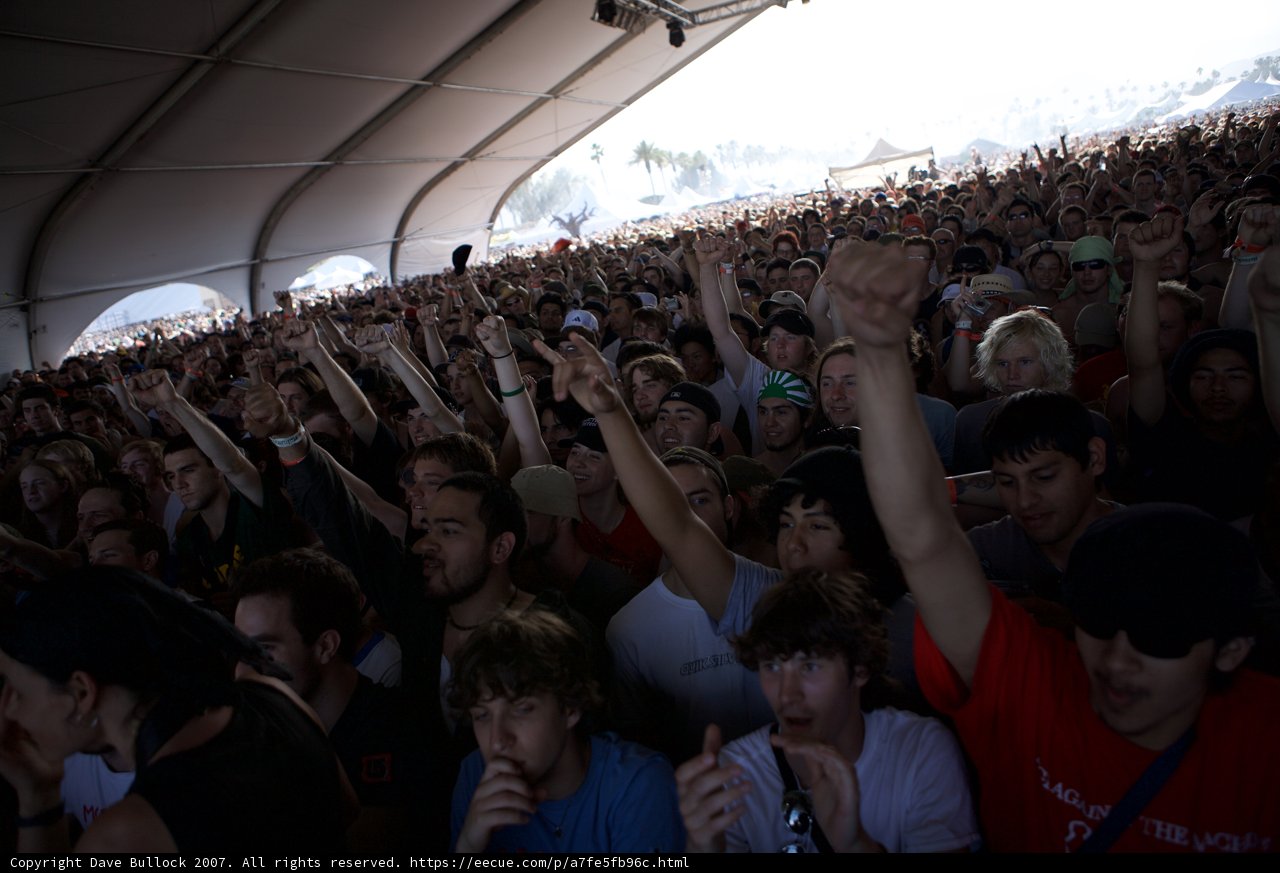 Coachella Crowd
