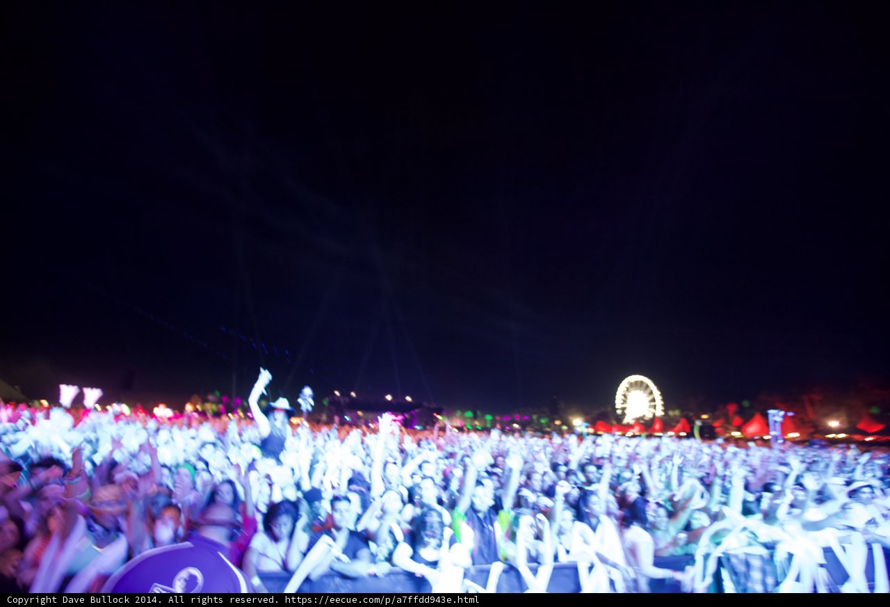 Electric Nights at Coachella