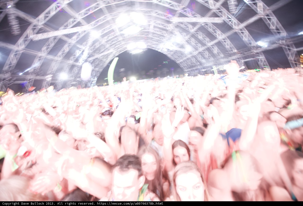 Concertgoers Rocking Out at Coachella