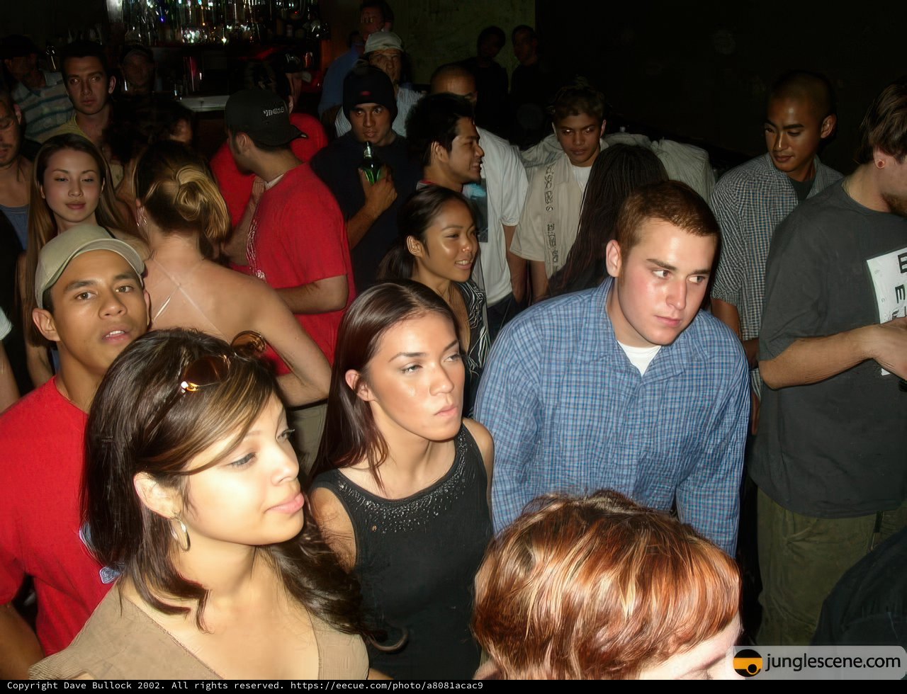 Nightclub Gathering