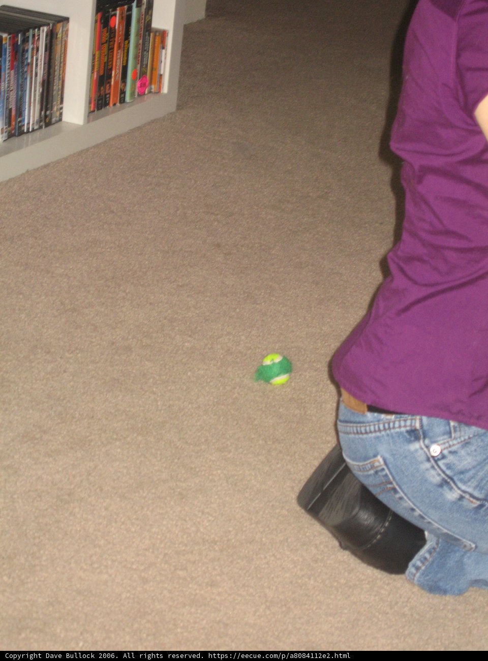 Gamer Girl